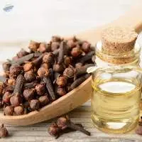 Jaring Indo Perkasa: Natural Clove Oil