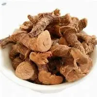 Alpinia Galangal Roots Dried Herb Organic Whole