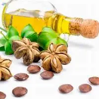 Sacha Inchi Oil Plukenetia Volubilis