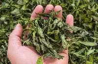 Dried Mint Leafs