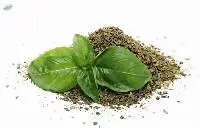 Dried Basil