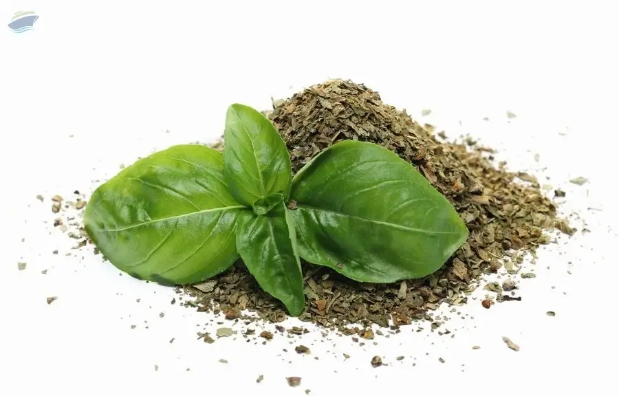 Dried Basil