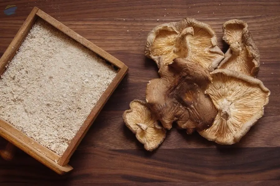 Shiitake Mushroom Dried & Powder