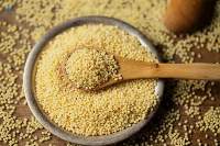 Foxtail Millet