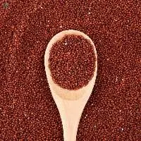 Finger Millet