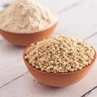 Sorghum