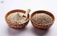 Pearl Millet