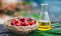 Castor Oil