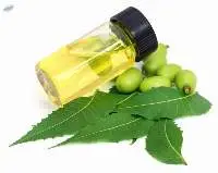 Neem Oil