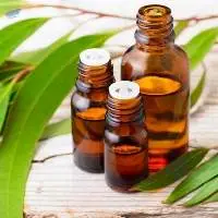 Sesame Oil