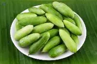 Ivy Gourd