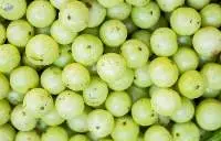 AMLA