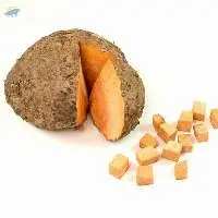 Elephant Yam