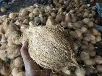 Coconut
