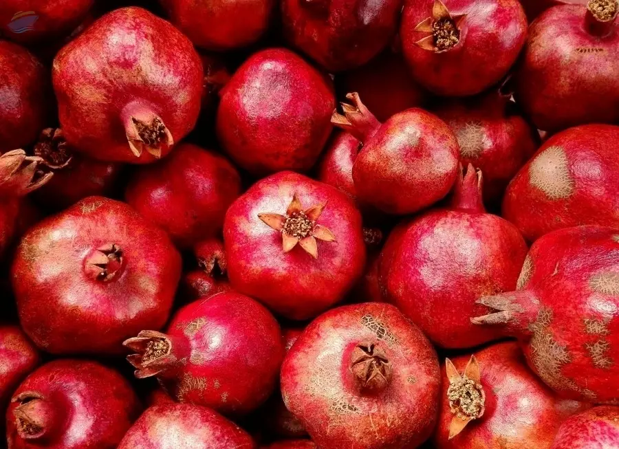 Pomegranate