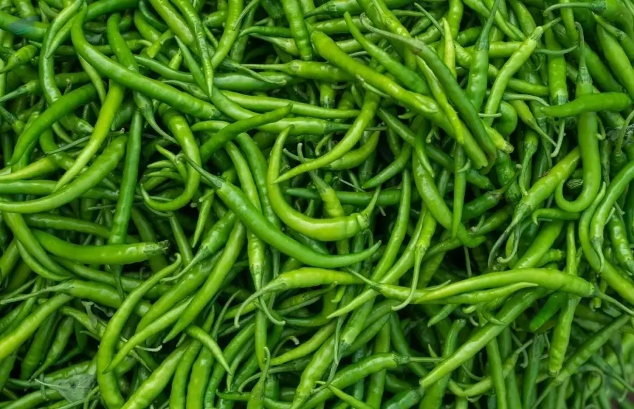 Green Chili