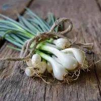 Spring Onions