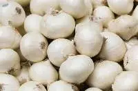 White Onions