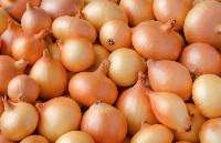 Yellow Onions