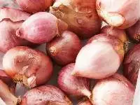 Shallots