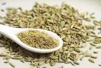 Fennel Seeds