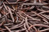 Vanilla