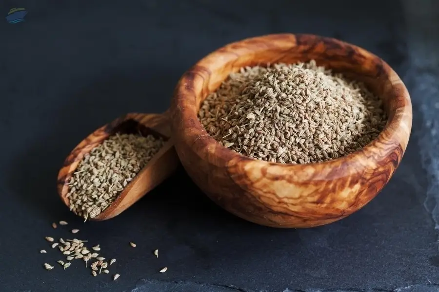 Ajwain