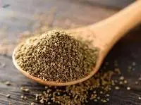 Celery Seed