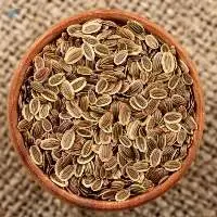 Dill Seeds