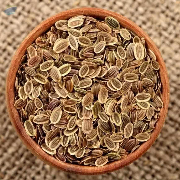 Dill Seeds