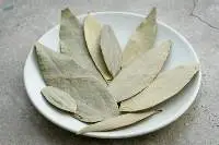 Bay leafs