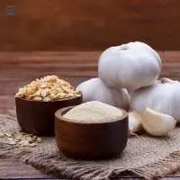 Garlic