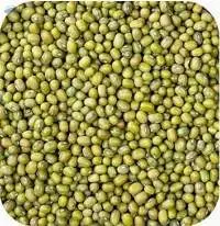 Whole Green Mung Bean