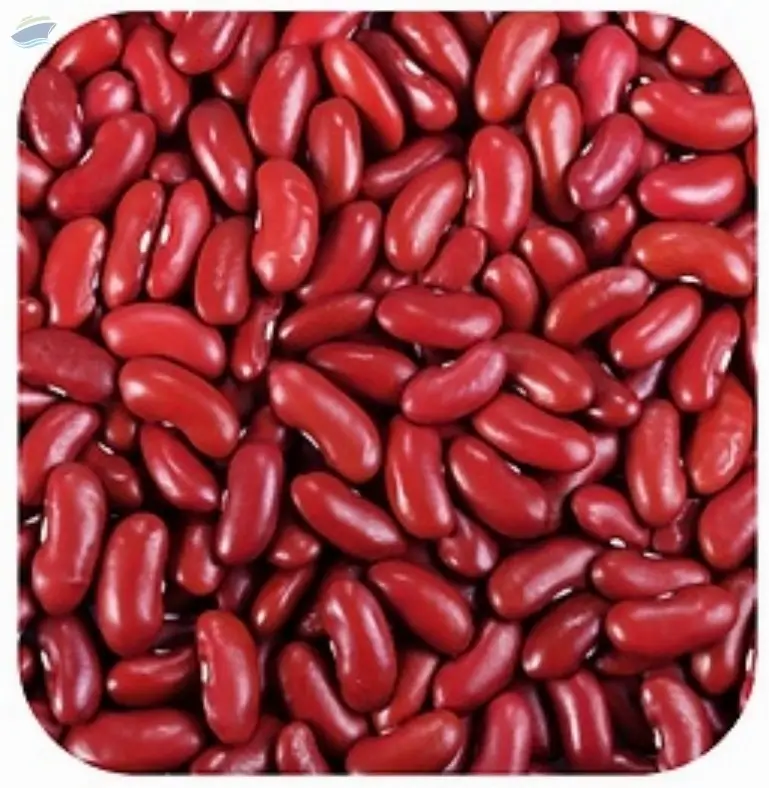 Red Bean
