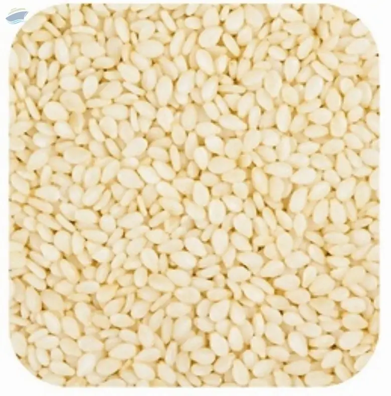 White Sesame Seed
