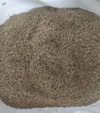 Cumin Seed