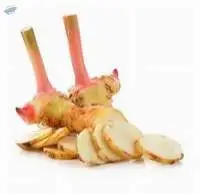 Galangal