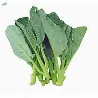 Kale