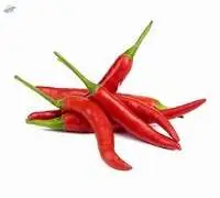 Red Chili
