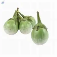 Eggplant