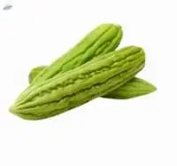 Bitter Gourd