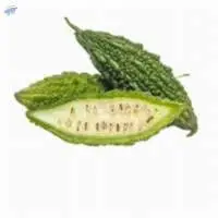 Small Bitter Gourd