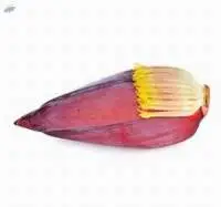 Banana Blossom