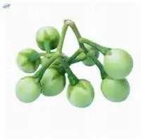 Pea Aubergine