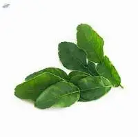 Kaffir Lime Leaves
