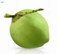 Fresh Coconut