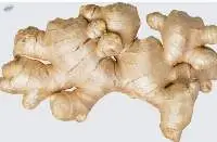 Fresh Ginger