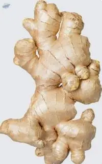 Fresh Ginger
