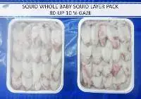 squid items