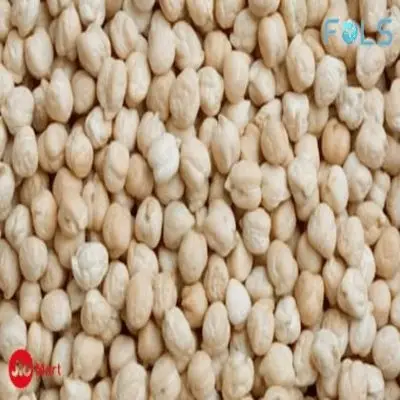 Kabuli Chickpea